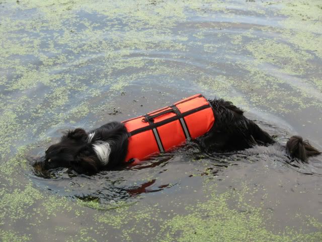 kayaking