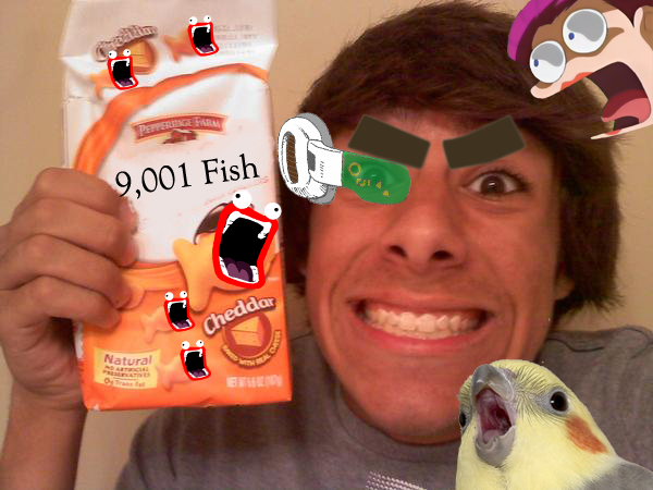 9001Fish.png