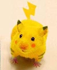 pikachu.jpg