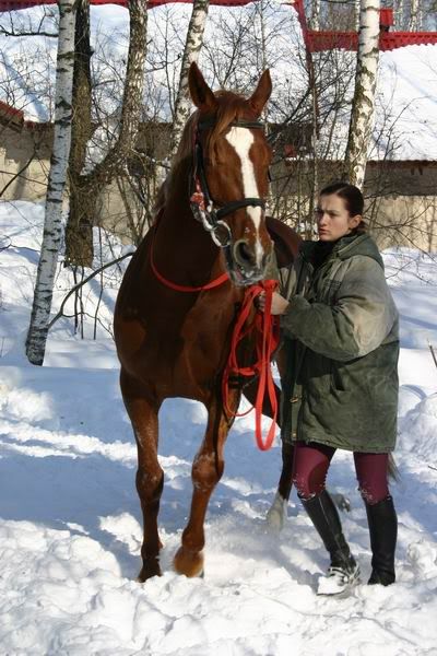 Lastochka080304.jpg