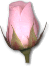 th_gifs_flowers_0014.gif