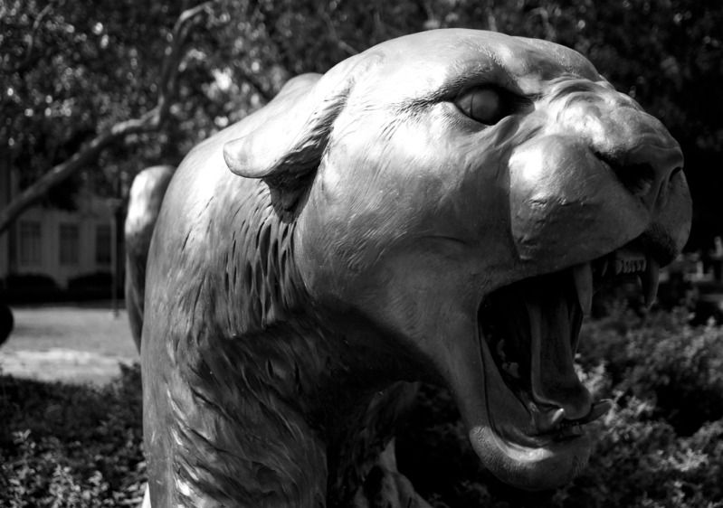 IMAGE: http://i11.photobucket.com/albums/a175/ninobrn99/60D%20shots/shasta_bw_resized.jpg