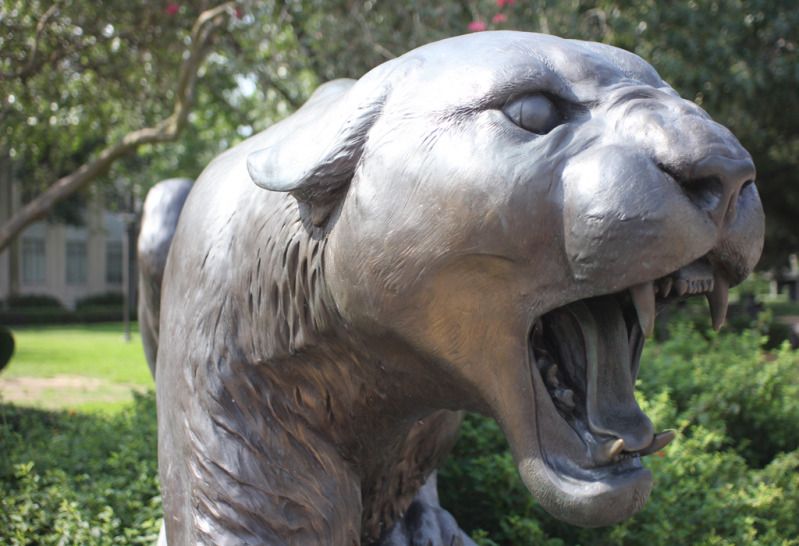 IMAGE: http://i11.photobucket.com/albums/a175/ninobrn99/60D%20shots/shasta_resizedonly.jpg