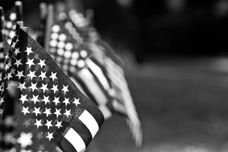 IMAGE: http://i11.photobucket.com/albums/a175/ninobrn99/Merica_zps912c2765.jpg