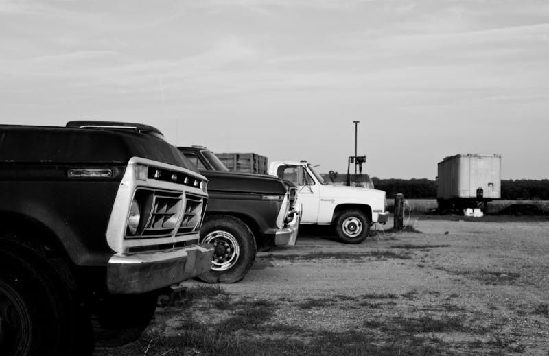 IMAGE: http://i11.photobucket.com/albums/a175/ninobrn99/Trucks_na_row_zps46a2a8f2.jpg