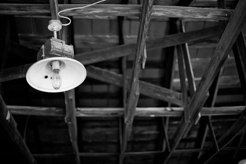 IMAGE: http://i11.photobucket.com/albums/a175/ninobrn99/lonely_luz_zps44227b65.jpg