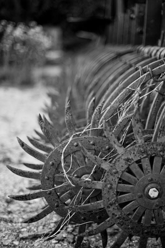 IMAGE: http://i11.photobucket.com/albums/a175/ninobrn99/mower_teeth_zps2c0b0ca1.jpg