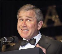 bushstupidface.jpg