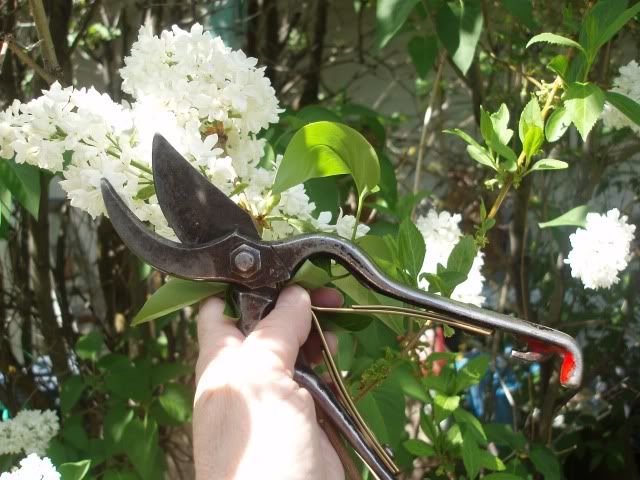 garden shears