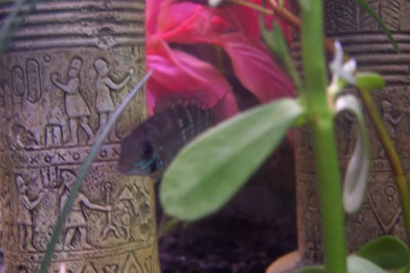 100_3407.jpg