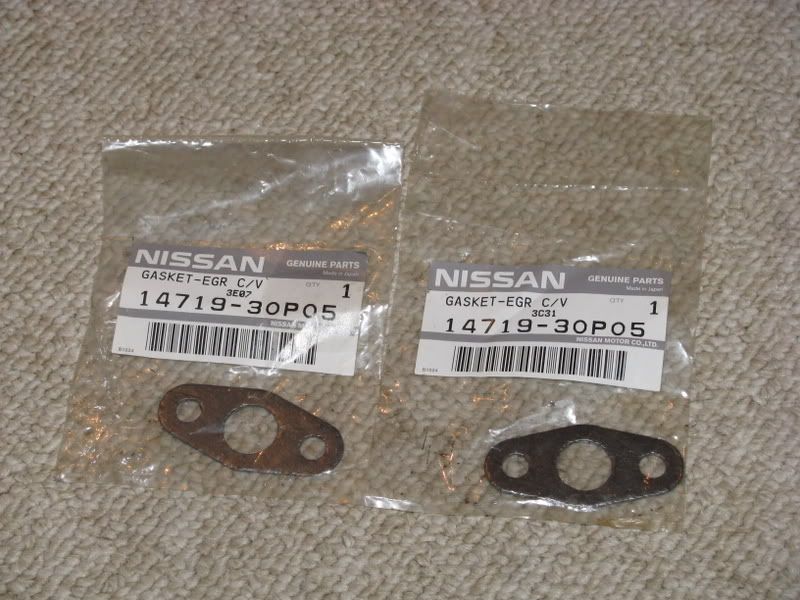 egr gaskets