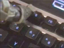 lolffive.gif