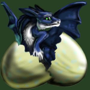 Newborn Blue Dragon Pictures, Images and Photos