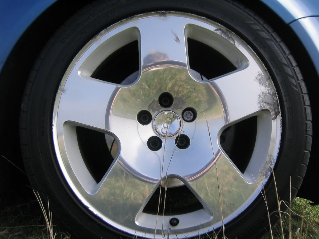Posted Image