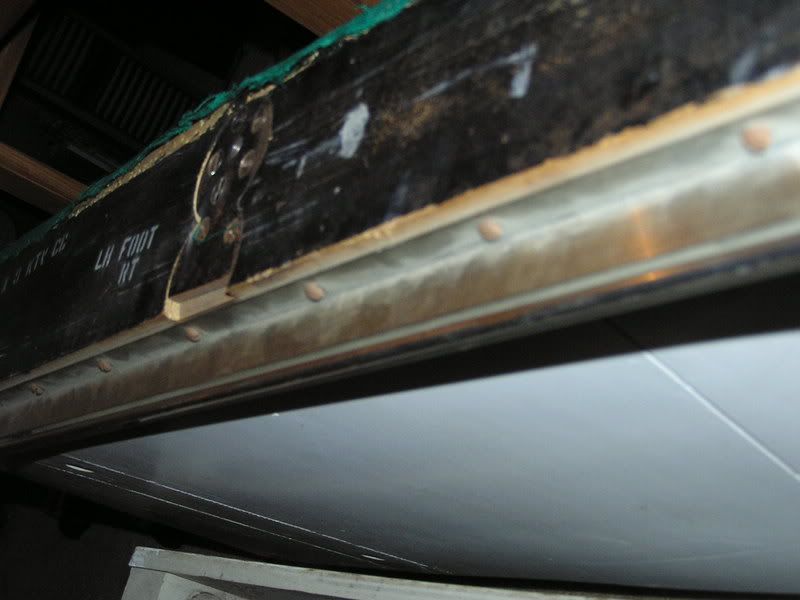 P1010001-1.jpg