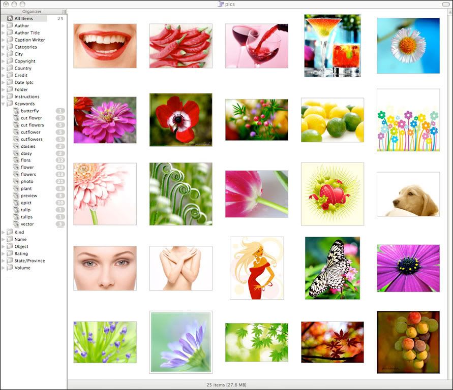 QPict 7 - Advanced Image Browser, Media Organizer & Duplicate Eliminator