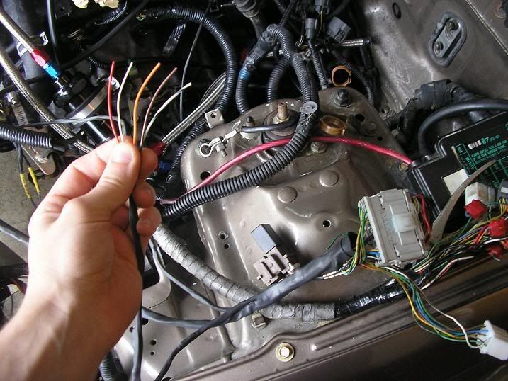 Wiring Woes! Help? .. The K Series Source . Honda / Acura