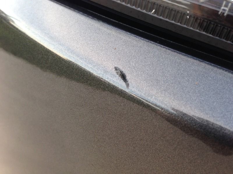 How to repair rock chips? Ford Focus ST Forum