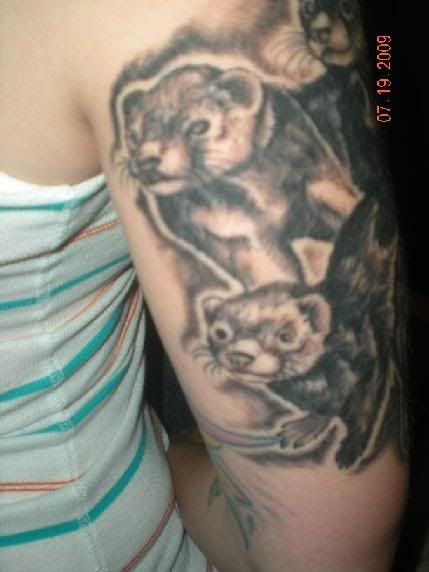 ferret tattoo designs