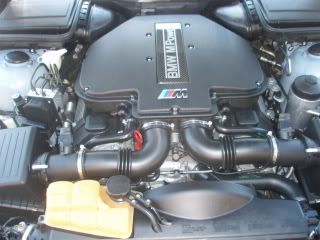 Picture010.jpg