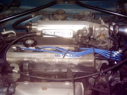 IPB Image