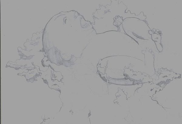 Newborn - Newborn -