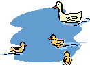 duck011.gif