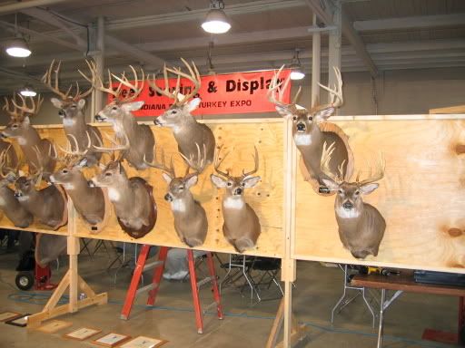 Deerexpo002.jpg