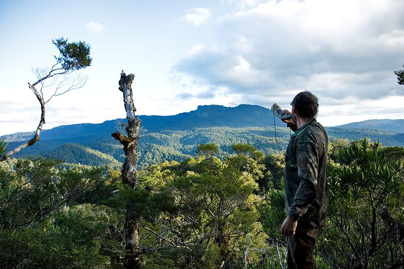 IMAGE: http://i11.photobucket.com/albums/a184/boneywhitefoot/mako/roaringtopweb.jpg