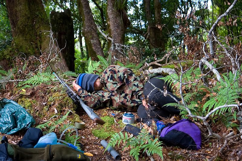 IMAGE: http://i11.photobucket.com/albums/a184/boneywhitefoot/mako/snoozeweb.jpg