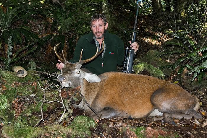 IMAGE: http://i11.photobucket.com/albums/a184/boneywhitefoot/mako/stag2web.jpg