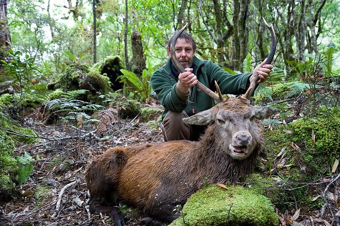 IMAGE: http://i11.photobucket.com/albums/a184/boneywhitefoot/mako/stankyweb.jpg