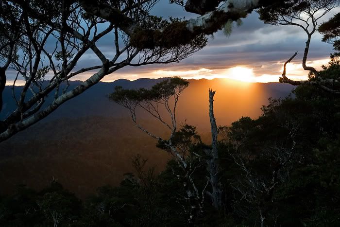 IMAGE: http://i11.photobucket.com/albums/a184/boneywhitefoot/mako/sunset1web.jpg