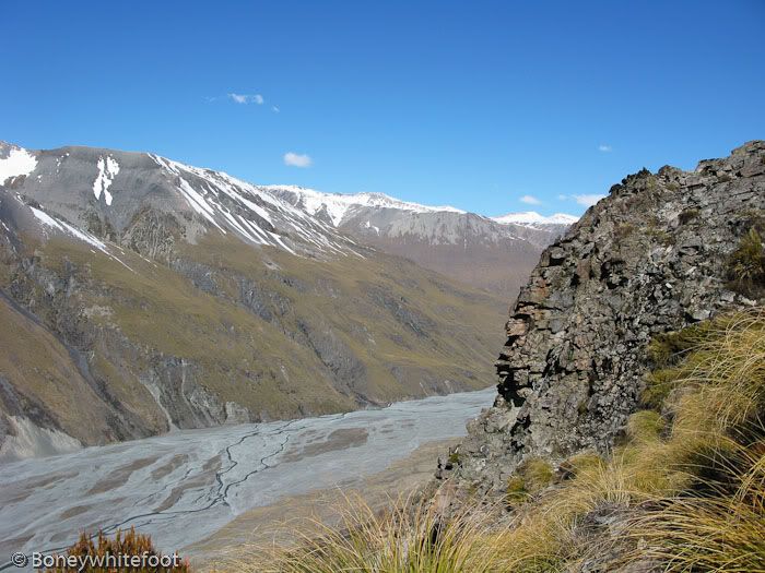 IMAGE: http://i11.photobucket.com/albums/a184/boneywhitefoot/old%20farts%20tarz/IMG_1134.jpg