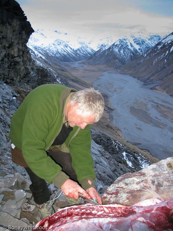 IMAGE: http://i11.photobucket.com/albums/a184/boneywhitefoot/old%20farts%20tarz/IMG_1142.jpg