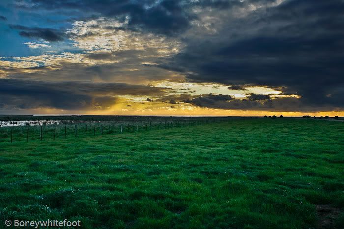 IMAGE: http://i11.photobucket.com/albums/a184/boneywhitefoot/old%20farts%20tarz/_MG_0263-Edit.jpg