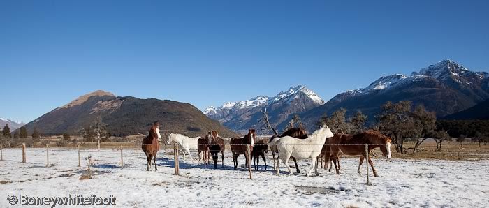 Glenorchy-28.jpg