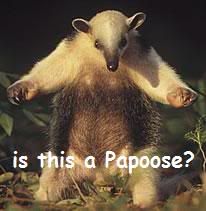 papoose.jpg
