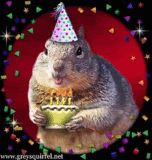 birthday Squirrel photo birthdaySquirrel.gif