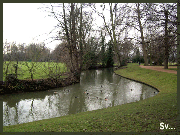 DSCN0074.gif