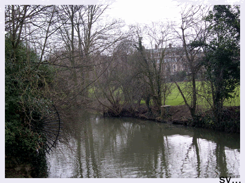DSCN0077.gif