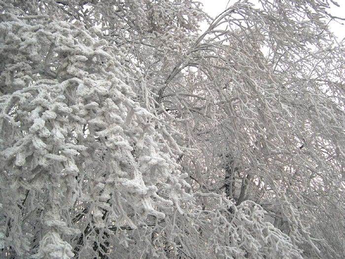 DSCN0116.jpg