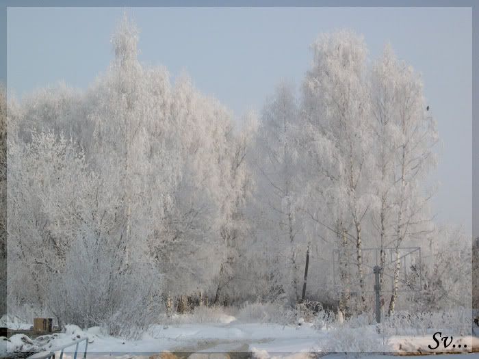 DSCN0148.jpg
