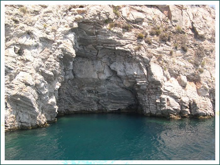 DSCN5404.jpg