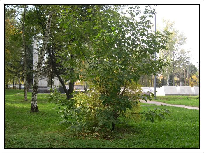 DSCN5691.jpg