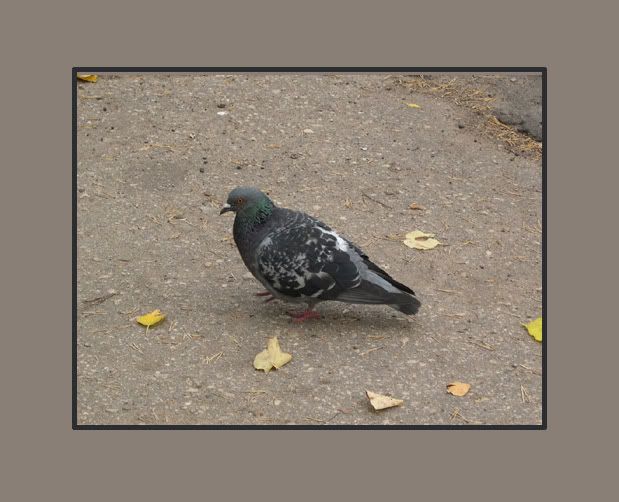 DSCN5708.jpg