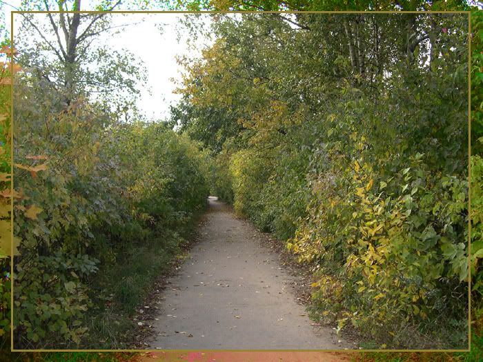 DSCN5718.jpg