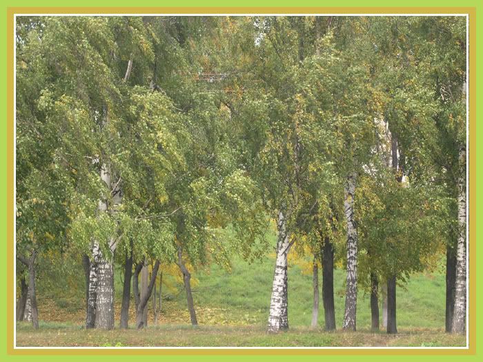 DSCN5755.jpg