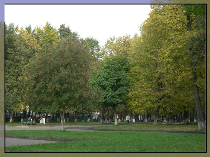 DSCN5775.jpg