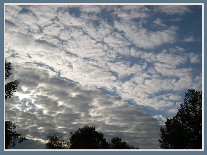 DSCN5780.jpg